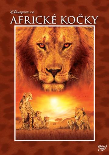 Africké kočky: Kráľovstvo odvahy - DVD film