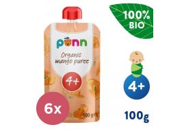 6x SALVEST Ponn BIO Mango 100 % (100 g)