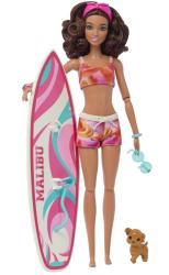 Mattel Mattel Barbie Surfistka s doplnkami
