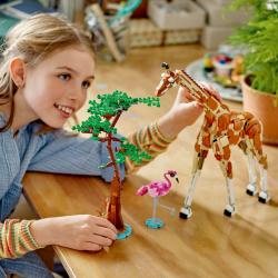 LEGO LEGO® Creator 3 v 1 31150 Divoké zvieratá zo safari