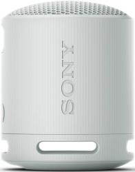 Sony SRS-XB100H šedý