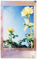 Fujifilm Instax MINI 10list Pastel Galaxy