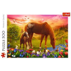 Trefl Trefl Puzzle 500 - Kone na lúke