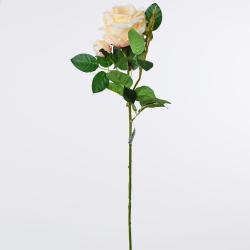 Ruža BROSKYŇOVÁ 75cm