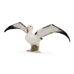 Collecta COLLECTA Albatros sťahovavý