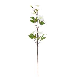 Konár Klematis 88cm biely