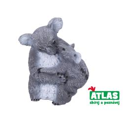 Atlas Koala