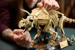 Lego Dinosaurie fosílie: Triceratops