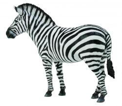 Collecta COLLECTA Zebra