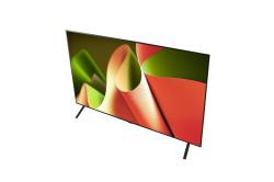 LG OLED55B46