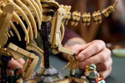 Lego Dinosaurie fosílie: Triceratops