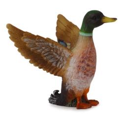 Collecta COLLECTA Kačica divá - káčer