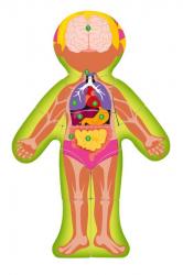 Woody Woody Puzzle Ľudské telo - Dievča EN