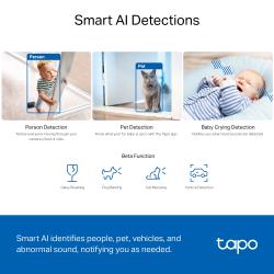 TP-Link Tapo C230