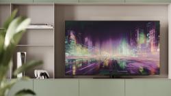 We. by Loewe SEE 55 OLED DC
