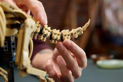 Lego Dinosaurie fosílie: Triceratops
