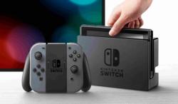 Nintendo Switch Joy-Con - šedý