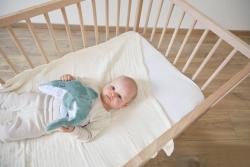 Kaloo Kaloo Petit Calme Plyšový delfín s levanduľovým vankúšom pre lepší spánok 15 cm