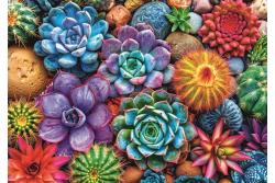 Trefl Trefl Puzzle 1000 Farebné sukulenty