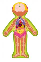 Woody Woody Puzzle Ľudské telo - Dievča CZ