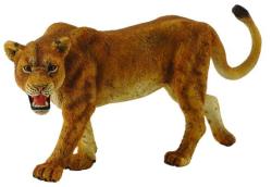 Collecta COLLECTA Levica
