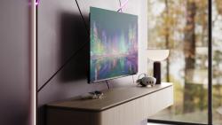 We. by Loewe SEE 48 OLED DC