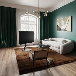 Loewe inspire 65 dr+