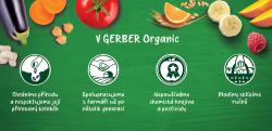 GERBER Organic detský príkrm mrkva a rajčiny s morčacím mäsom 190 g