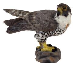 Collecta COLLECTA Sokol sťahovavý