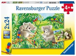 Ravensburger Roztomilé koaly a pandy 2x24 dielikov