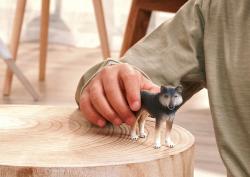 Schleich Schleich Vlk americký