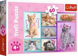 Trefl Trefl puzzle 60 dielikov - Roztomilé mačky
