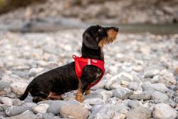 CURLI Postroj pre psov so sponou Softshell Red XS, 3-5 kg