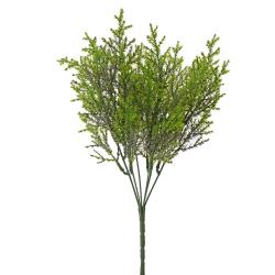 Tuja zelená 32cm