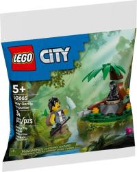 Lego LEGO® Setkání s mládětem gorily