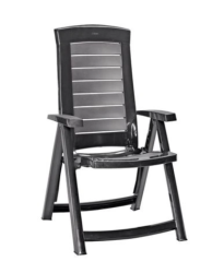 Hecht JARDIN GRAPHITE CHAIR