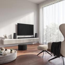 Loewe inspire 65 dr+