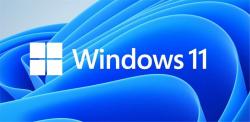 Microsoft Windows 11 Pro 64Bit Slovak 1pk DVD OEM