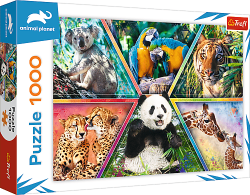 Trefl Trefl Puzzle 1000 - Kráľovstvo zvierat