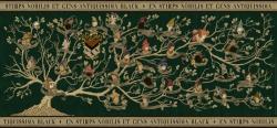 Ravensburger Harry Potter: Rodokmeň 2000 dielikov Panorama