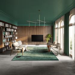 Loewe inspire 55 dr+