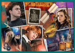 Trefl Trefl Puzzle 10v1 -  Vo svete Harryho Pottera