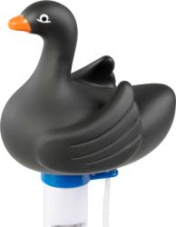 Strend Pro Pool Teplomer plávajúci, Čierna labuť, bazénový