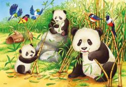 Ravensburger Roztomilé koaly a pandy 2x24 dielikov