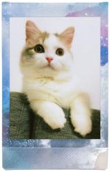 Fujifilm Instax MINI 10list Pastel Galaxy