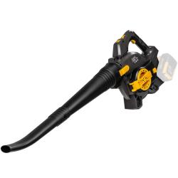 TEXAS BVX2020