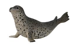 Collecta COLLECTA Tuleň pacifický