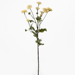 Chryzantéma lososová 66cm