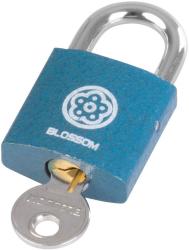 Strend Pro Blossom BC29