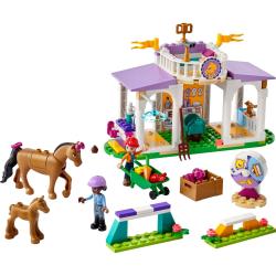 LEGO LEGO® Friends 41746 Výcvik koní
